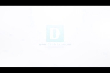 Gần 100 công nhân công ty nổ máy ép gỗ được ký hợp đồng lao động