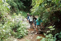 Thầy trò vùng biên băng rừng để dẫn nguồn nước về sinh hoạt