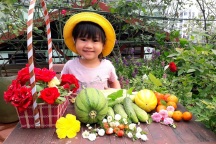 Vườn rau trái sai trĩu quả như "siêu thị nông sản" của mẹ đảm Hà thành