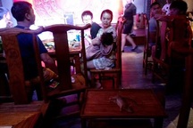 Con chuột "từ trên trời rơi xuống" khi khách hàng đang ăn lẩu