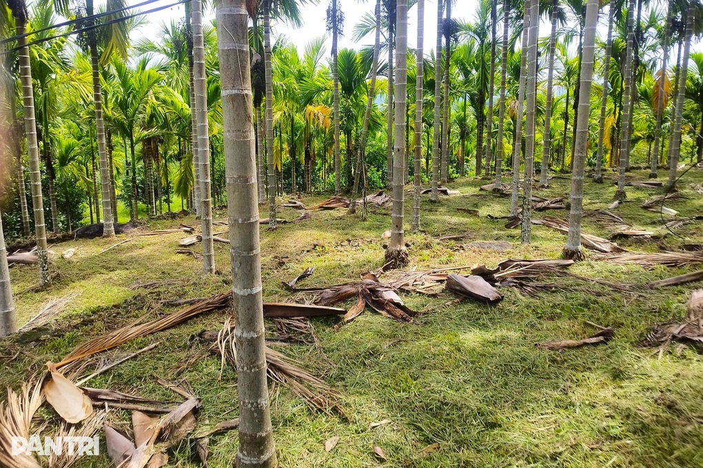 Biến thứ bỏ đi thành sản phẩm tinh xảo để xuất ngoại - 1 Biến thứ bỏ đi thành sản phẩm tinh xảo để xuất ngoại - 1