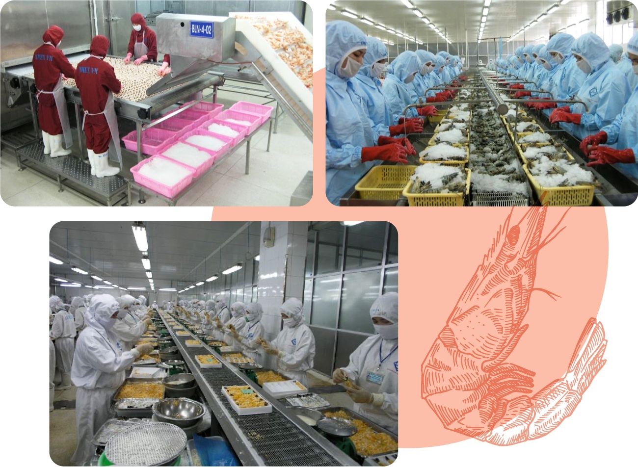 Trò chơi con tôm cảm giác mạnh phiên bản mới của sếp công ty nghìn tỷ - 5 Trò chơi con tôm cảm giác mạnh phiên bản mới của sếp công ty nghìn tỷ - 5