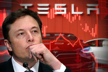 Elon Musk khơi mào cuộc chiến đưa giá xe điện xuống đáy