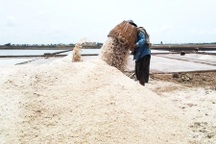 Muối Bạc Liêu nổi tiếng nhưng diêm dân khó sống, Chủ tịch tỉnh nói gì?
