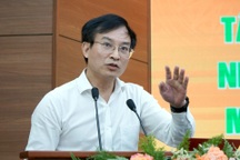 Chuyên gia hiến kế phát triển "rừng vàng biển bạc" ở tỉnh lớn nhất Việt Nam