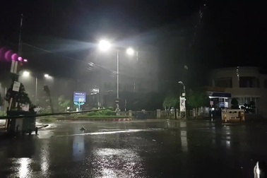 Gió lớn làm cây ngã đổ tại TP. Tuy Hòa