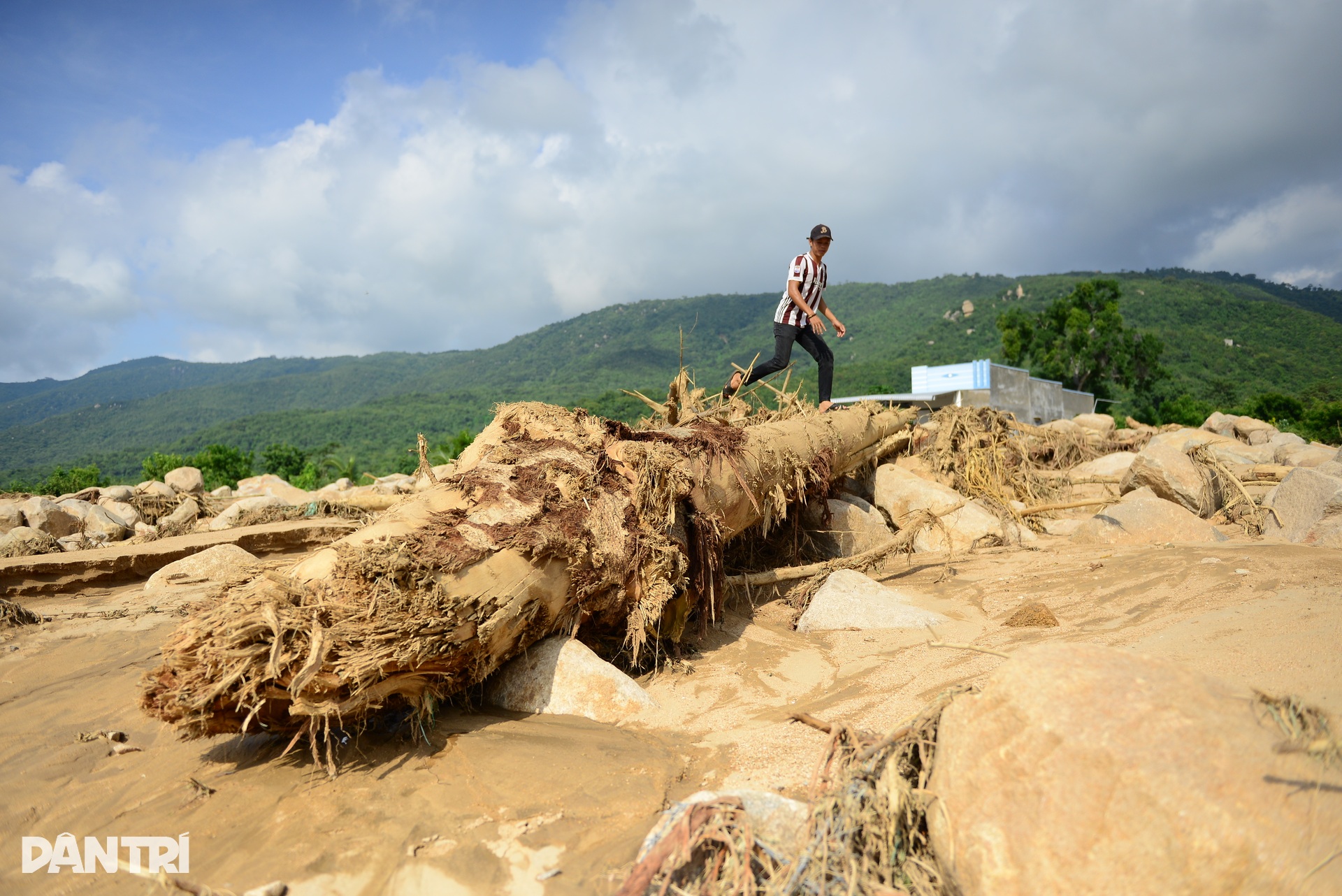 Hiện trường quả đồi bị nước lũ xé toạc ở Lâm Đồng - 8