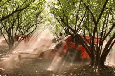 Cận cảnh máy thu hoạch hạt dẻ… "nhanh như chớp"