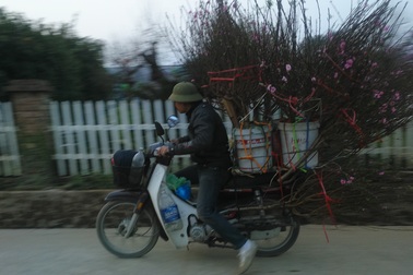 Xe ôm bỏ nghề, chở đào cảnh kiếm bạc triệu mỗi ngày