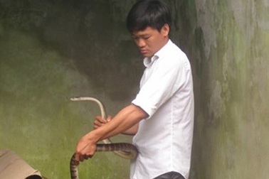 Tới chơi nhà bạn, chàng thanh niên “nên duyên” với... rắn