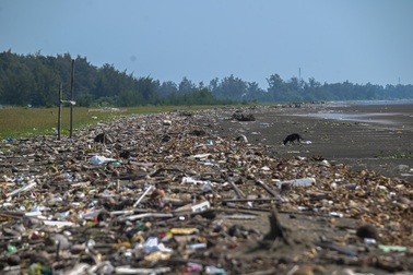 Hiện trạng khu đô thị lấn biển Cần Giờ sắp được khởi công