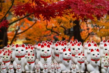 Ngôi đền kỳ lạ với hàng nghìn chú mèo "vẫy tay" may mắn