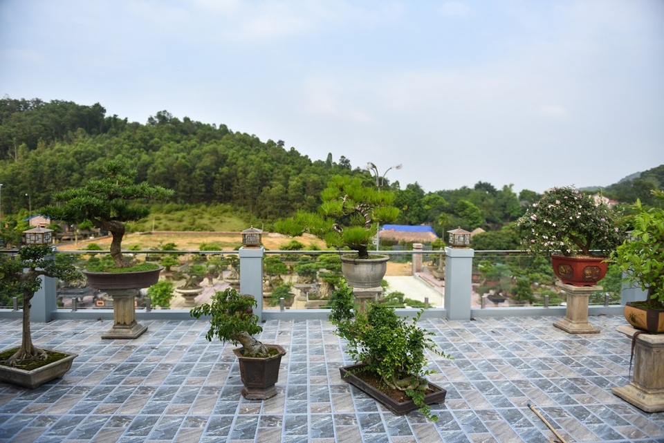 Chiêm ngưỡng nhà vườn toàn siêu cây bạc tỷ của ông vua cây cảnh - 12 Chiêm ngưỡng nhà vườn toàn siêu cây bạc tỷ của ông vua cây cảnh - 12