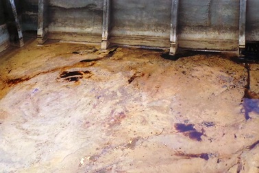 Vụ cá chết trên sông Âm: Các chỉ tiêu đánh giá ô nhiễm đều vượt ngưỡng