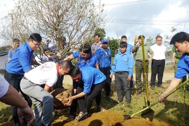 Xây dựng vườn hoa đào thanh niên “độc nhất” tại xã miền núi Vĩnh Sơn
