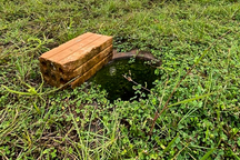 San lấp hàng loạt hố trụ bê tông "giăng bẫy" trên bãi đất trống