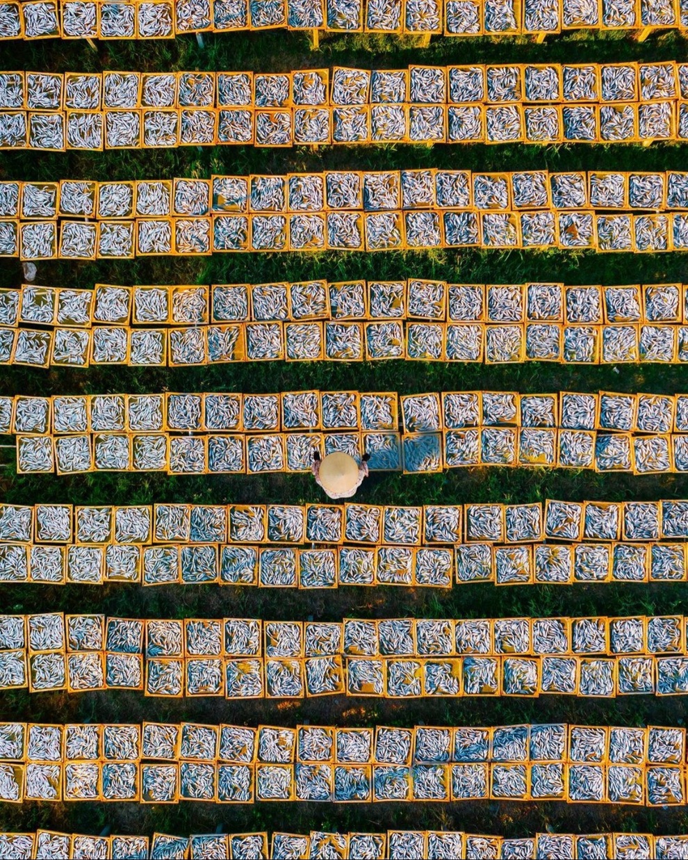 Cảnh đẹp Việt Nam đầy ấn tượng qua góc nhìn chim bay của chàng trai 9X - 5 Cảnh đẹp Việt Nam đầy ấn tượng qua góc nhìn chim bay của chàng trai 9X - 5