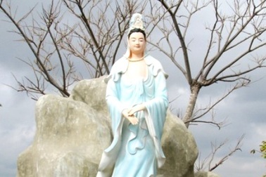 Ấn tượng “mê cung” Phật Bà ở Bạc Liêu