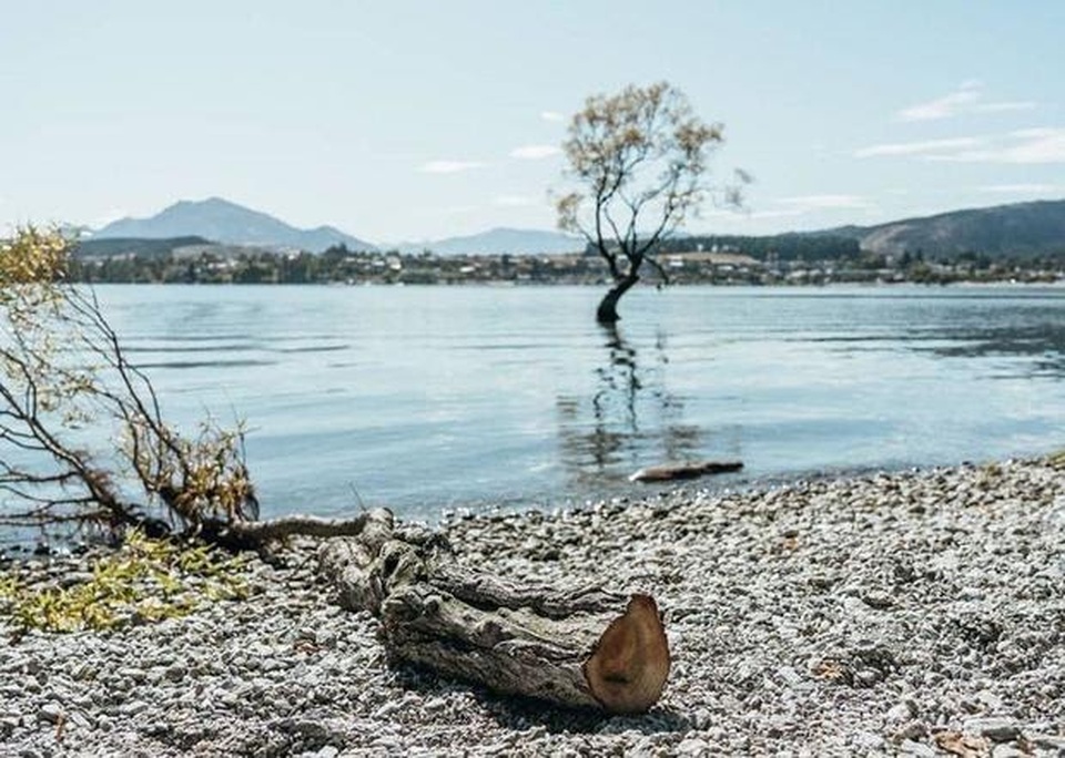Biểu tượng hy vọng của New Zealand bị phá hoại - 2 Biểu tượng hy vọng của New Zealand bị phá hoại - 2