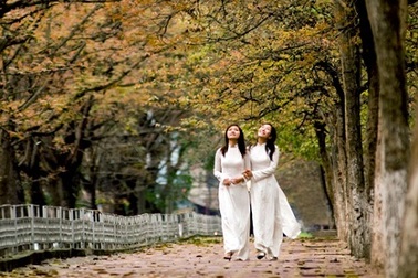 Để lòng tôi với Hà Nội xốn xang  