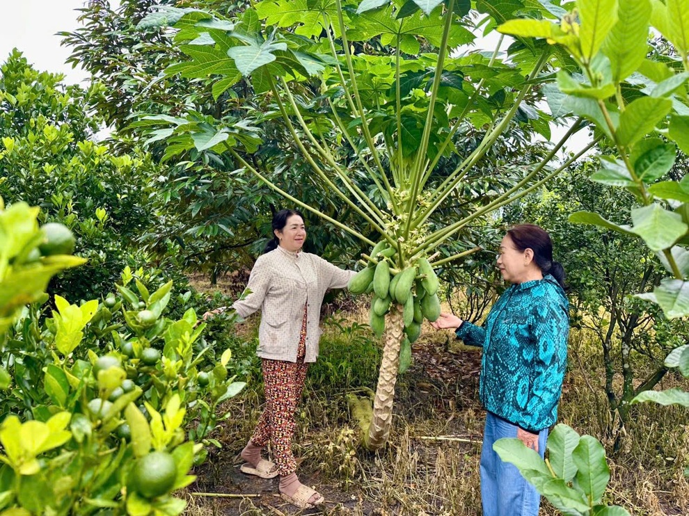 Đồng Nai hướng tới nông thôn mới hiện đại, tăng tốc cho giai đoạn mới - 1 Đồng Nai hướng tới nông thôn mới hiện đại, tăng tốc cho giai đoạn mới - 1