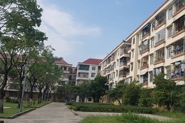 Hàng trăm trường hợp cho công chức thuê chung cư sai đối tượng