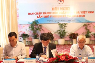 Đại hội thường niên VFF: Khó có “bom” nổ