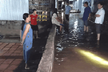 "Nghèo muốn chết mà cứ phải quay quắt lo triều cường, nước ngập"