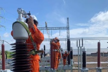 Các doanh nghiệp Bến Tre đang sử dụng 353 chuyên gia, lao động nước ngoài