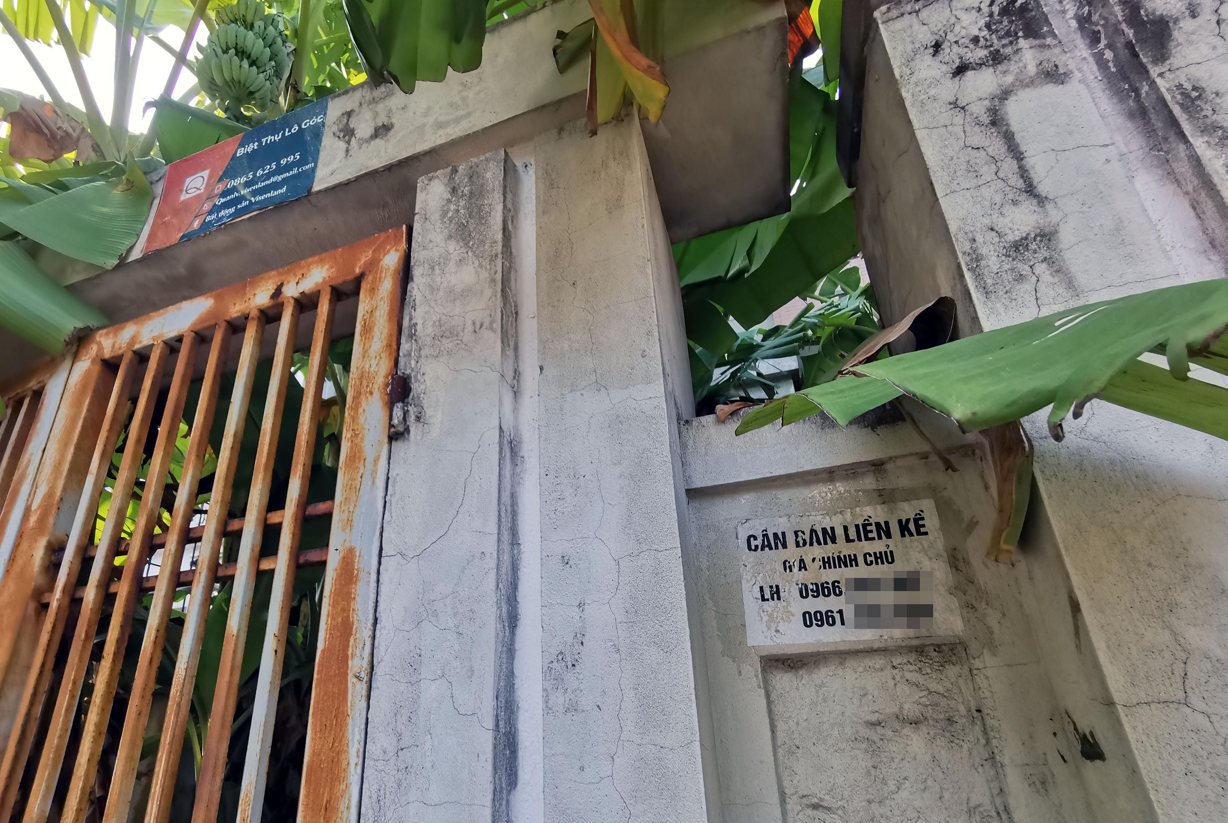 View - Chuối mọc um tùm trong biệt thự bỏ hoang ở một khu đô thị phía Tây Hà Nội | Báo Dân trí