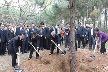 “Tết trồng cây”, nghĩ về nỗi lo trong sự nghiệp “trồng người”