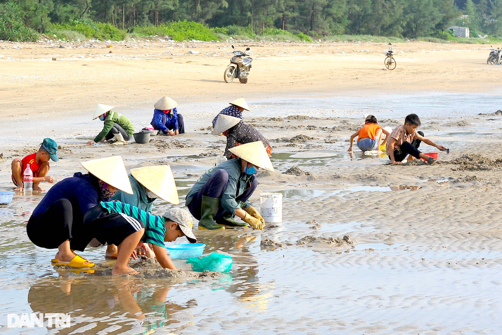 Hàng trăm người dân làm nghề tranh thủ trên bãi biển - 7 Hàng trăm người dân làm nghề tranh thủ trên bãi biển - 7
