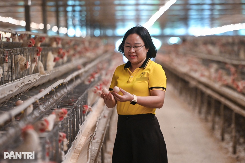 Cho gà ăn “phế phẩm nông nghiệp”, nữ kỹ sư thu tiền tỷ từ trứng đặc sản - 16