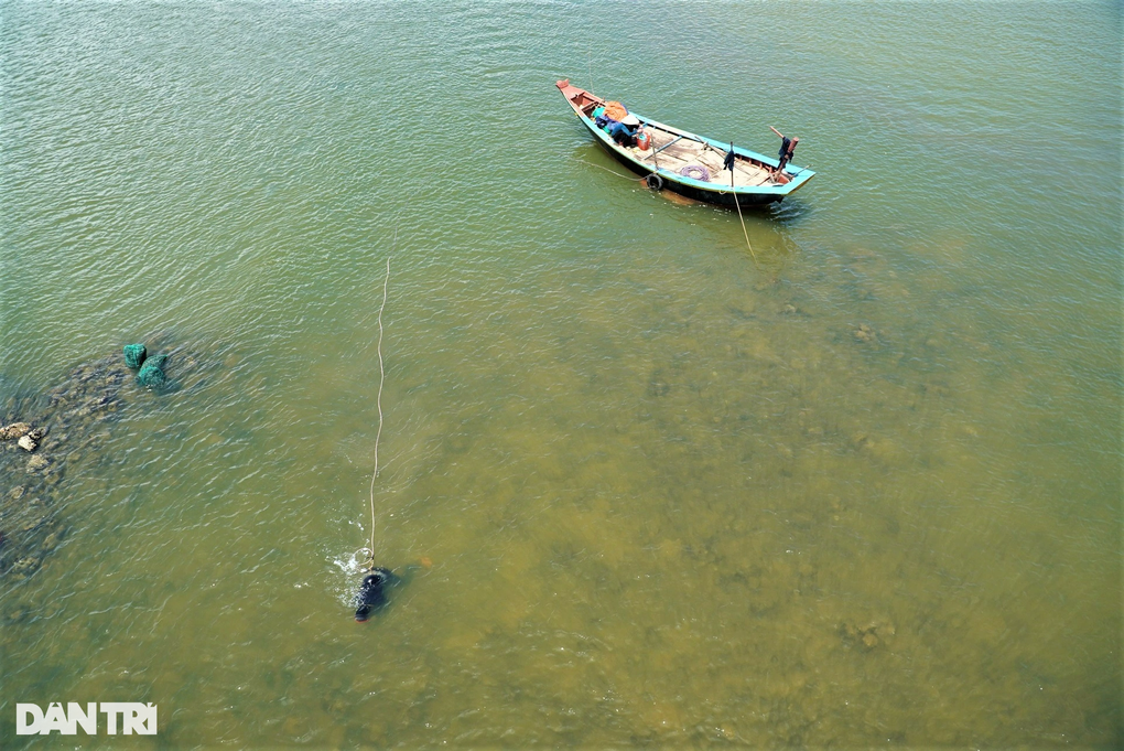 Săn thức ăn cho tôm hùm, kiếm tiền triệu mỗi ngày - 4 Săn thức ăn cho tôm hùm, kiếm tiền triệu mỗi ngày - 4