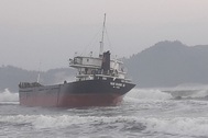 Cứu 10 thuyền viên trên tàu hàng bị mắc cạn ở vùng biển Bình Định
