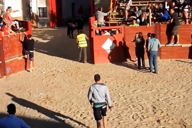 Cô gái xui xẻo bị bò tót tấn công