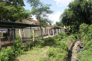 Phạt hơn 440 triệu 4 công ty “đầu độc” môi trường