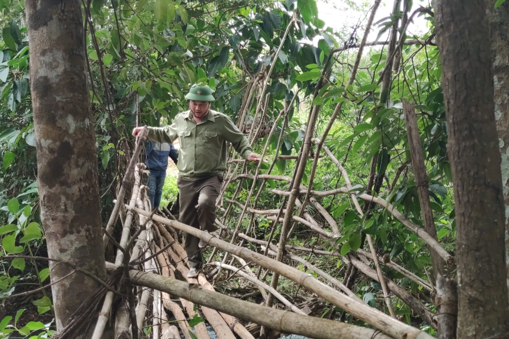 Những người trèo đèo, lội suối, ăn cơm nắm muối vừng giữa rừng ngày Tết - 4 Những người trèo đèo, lội suối, ăn cơm nắm muối vừng giữa rừng ngày Tết - 4
