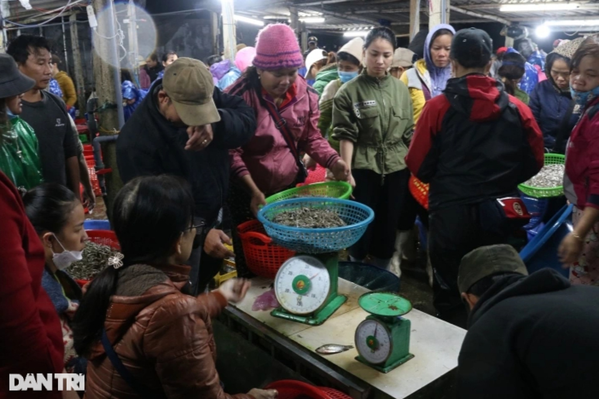 Ở nơi người dân ăn ngủ trên phá, bán cá nửa đêm - 12