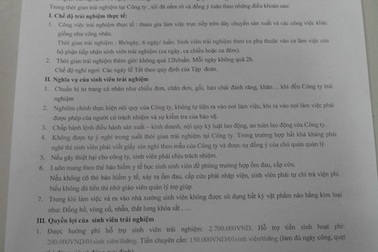 Sinh viên bị ép đi làm… công nhân trong kì kiến tập?