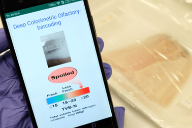 Công nghệ "mũi điện tử" giúp AI 'ngửi' được thực phẩm