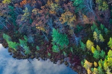 Để cứu lấy Trái Đất, ta nên để nó yên