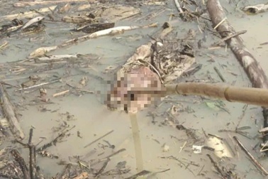 Thi thể thứ 4 được phát hiện trôi trên lòng hồ thủy điện Hủa Na