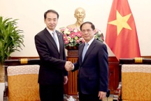 Đề nghị Trung Quốc thực hiện hiệu quả các thỏa thuận với Việt Nam