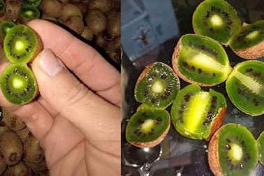 Nhìn đã chảy nước miếng, chị em tranh mua kiwi tí hon 1 triệu đồng/kg