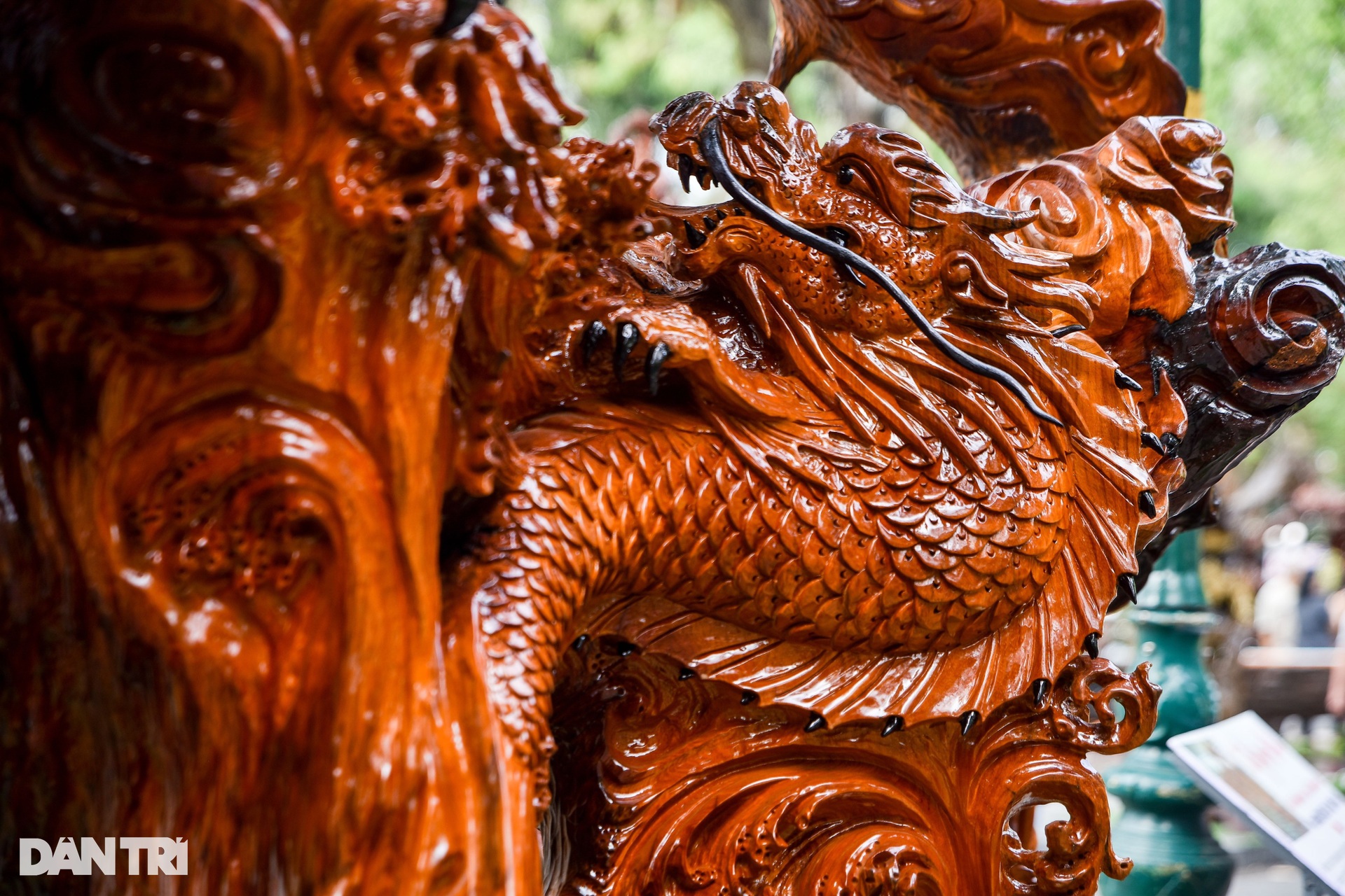 Choáng ngợp gỗ nguyên khối 4,5 tấn được điêu khắc hình rồng - 9 Choáng ngợp gỗ nguyên khối 4,5 tấn được điêu khắc hình rồng - 9