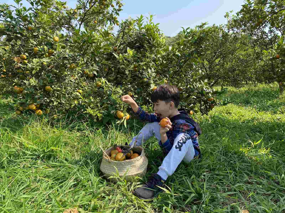 AMAN Village - Làng nghỉ dưỡng trải nghiệm mới ven Hà Nội - 5 AMAN Village - Làng nghỉ dưỡng trải nghiệm mới ven Hà Nội - 5
