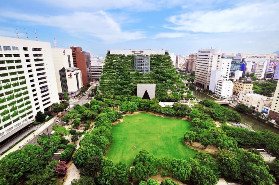 Phù phép biến tòa nhà bê tông thành ngọn núi xanh giữa phố - 4 Phù phép biến tòa nhà bê tông thành ngọn núi xanh giữa phố - 4
