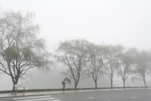 Sa Pa đẹp nao lòng trong sương mờ, giá lạnh