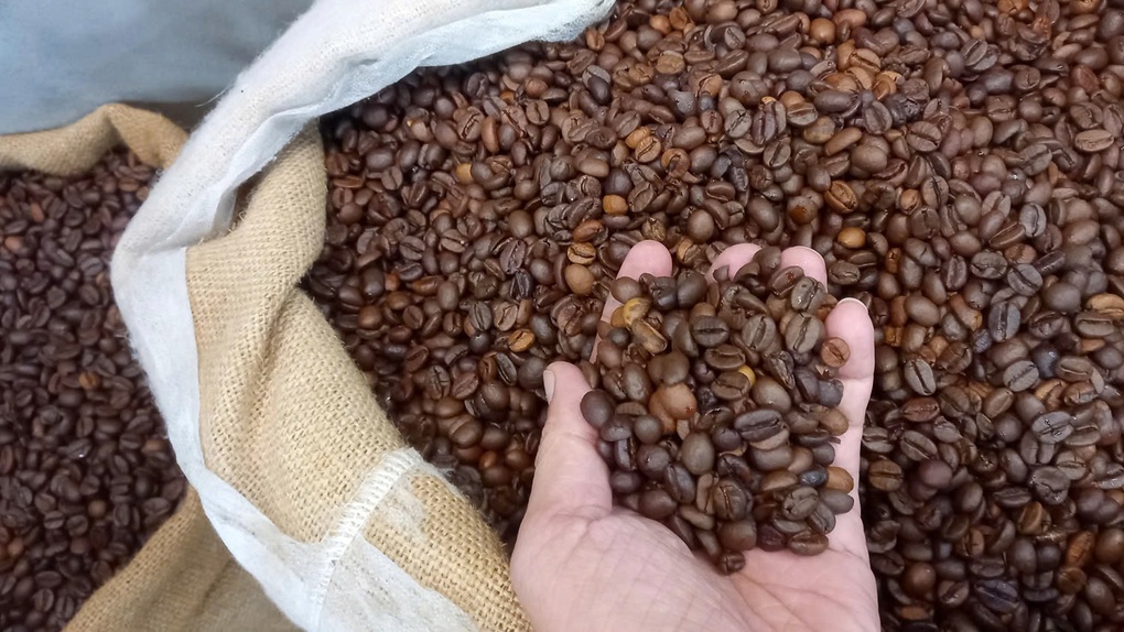 Giá nông sản ngày 18/8: Giá cà phê bật tăng, arabica lên đỉnh 6 tuần - 1